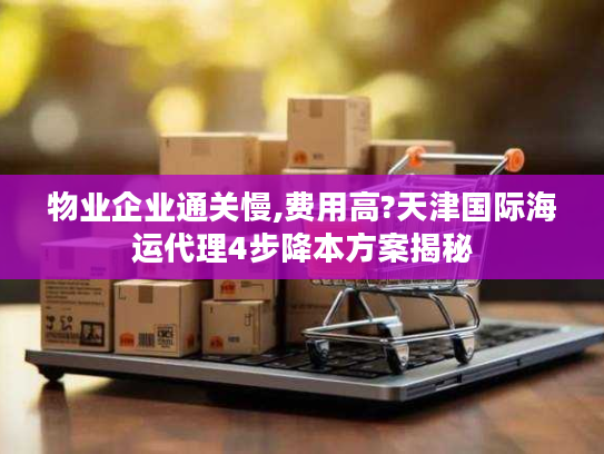 物业企业通关慢,费用高?天津国际海运代理4步降本方案揭秘