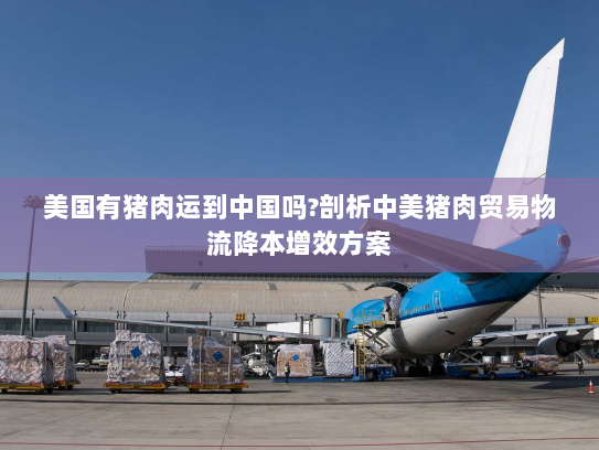 美国有猪肉运到中国吗?剖析中美猪肉贸易物流降本增效方案