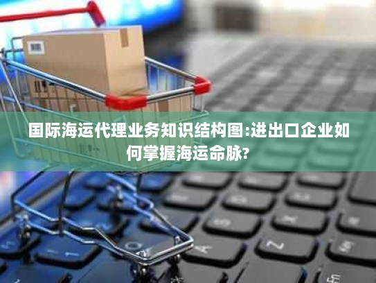 国际海运代理业务知识结构图:进出口企业如何掌握海运命脉?