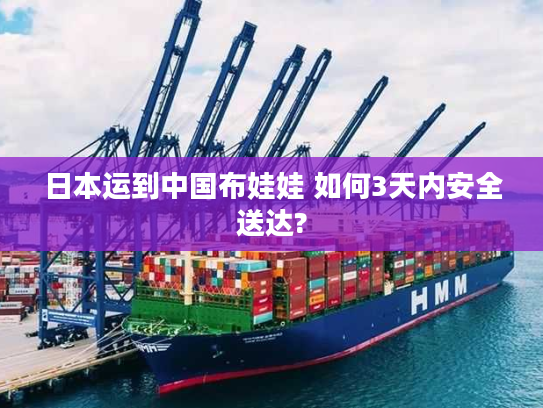 日本运到中国布娃娃 如何3天内安全送达?