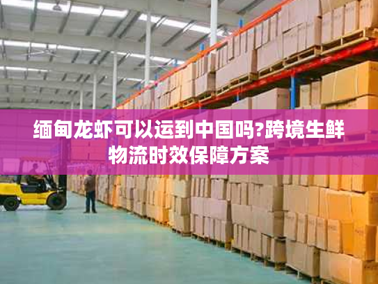 缅甸龙虾可以运到中国吗?跨境生鲜物流时效保障方案