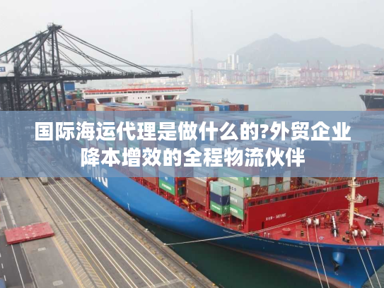 国际海运代理是做什么的?外贸企业降本增效的全程物流伙伴