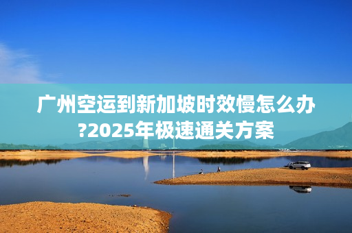 广州空运到新加坡时效慢怎么办?2025年极速通关方案