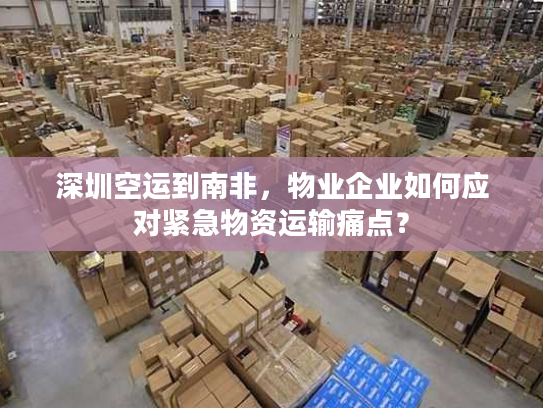 深圳空运到南非，物业企业如何应对紧急物资运输痛点？