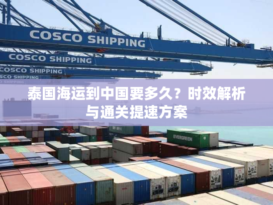 泰国海运到中国要多久?时效解析与通关提速方案 泰国海运到中国要多久?时效解析与通关提速方案
