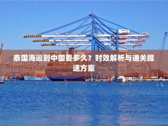 泰国海运到中国要多久？时效解析与通关提速方案