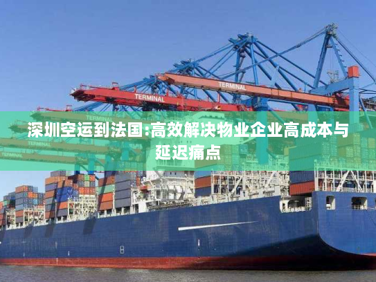 深圳空运到法国:高效解决物业企业高成本与延迟痛点