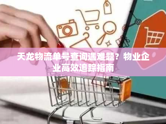 天龙物流单号查询遇难题？物业企业高效追踪指南