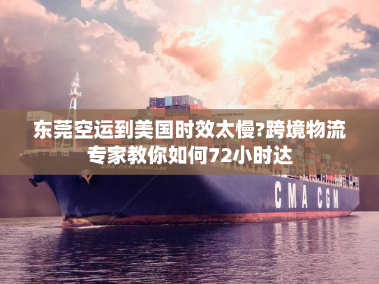 东莞空运到美国时效太慢?跨境物流专家教你如何72小时达