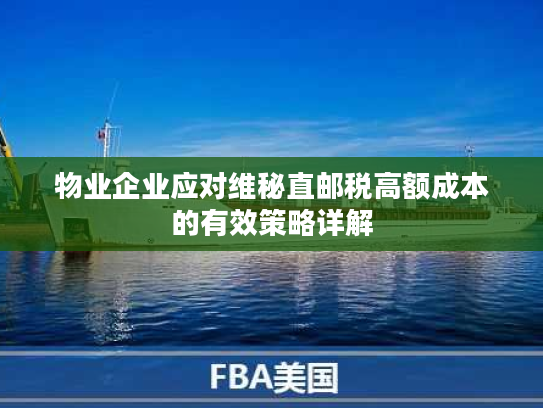 物业企业应对维秘直邮税高额成本的有效策略详解