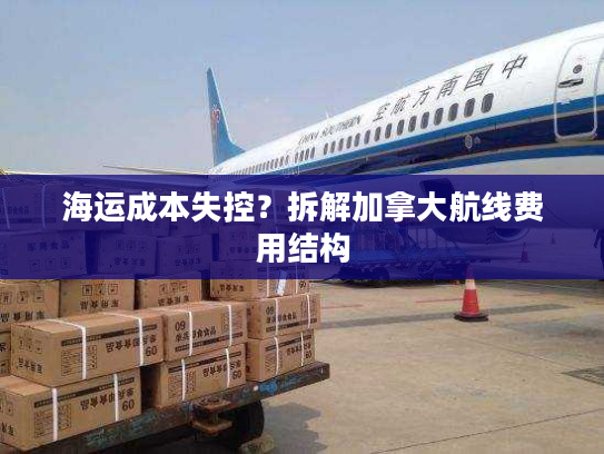 海运成本失控？拆解加拿大航线费用结构
