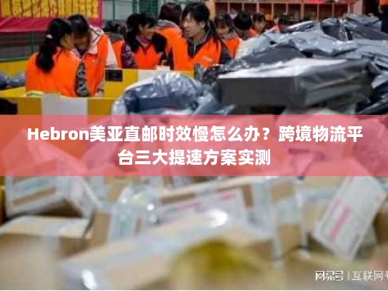Hebron美亚直邮时效慢怎么办？跨境物流平台三大提速方案实测