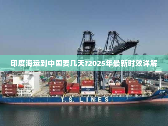 印度海运到中国要几天?2025年最新时效详解