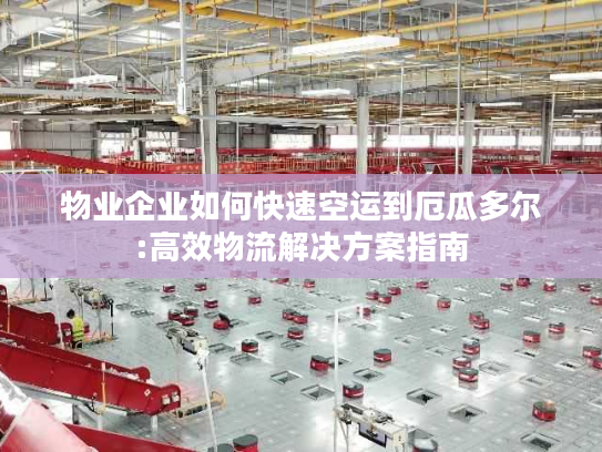 物业企业如何快速空运到厄瓜多尔:高效物流解决方案指南