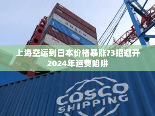 上海空运到日本价格暴涨?3招避开2024年运费陷阱