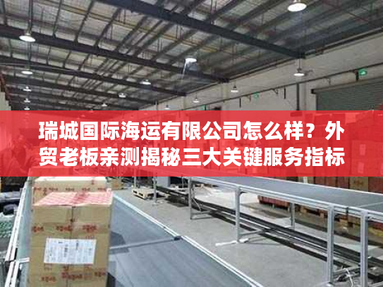 瑞城国际海运有限公司怎么样？外贸老板亲测揭秘三大关键服务指标