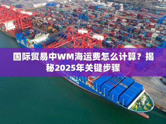 国际贸易中WM海运费怎么计算？揭秘2025年关键步骤