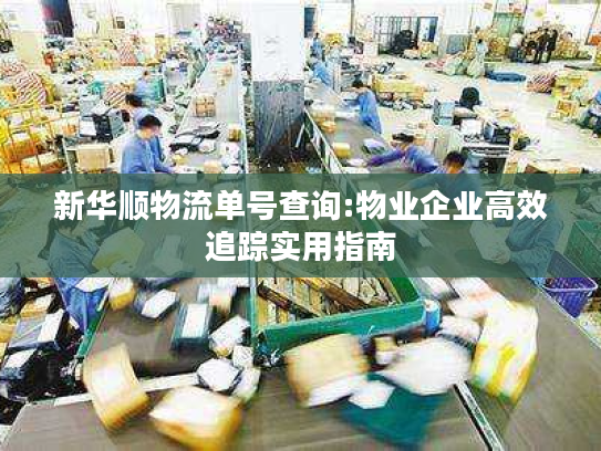 新华顺物流单号查询:物业企业高效追踪实用指南