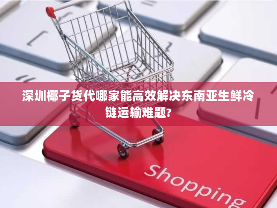 深圳椰子货代哪家能高效解决东南亚生鲜冷链运输难题?