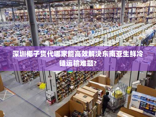 深圳椰子货代哪家能高效解决东南亚生鲜冷链运输难题?