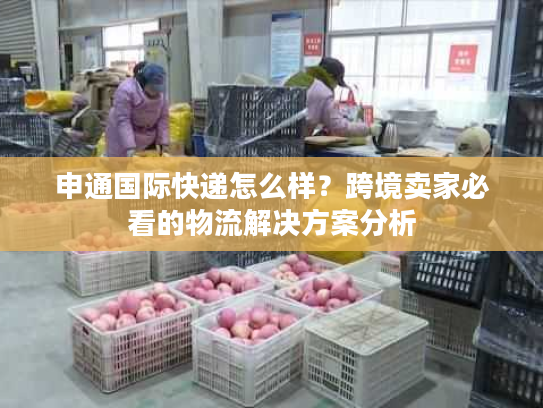 申通国际快递怎么样？跨境卖家必看的物流解决方案分析