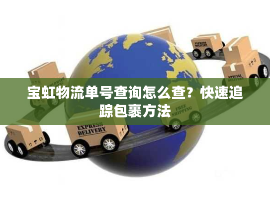 宝虹物流单号查询怎么查？快速追踪包裹方法