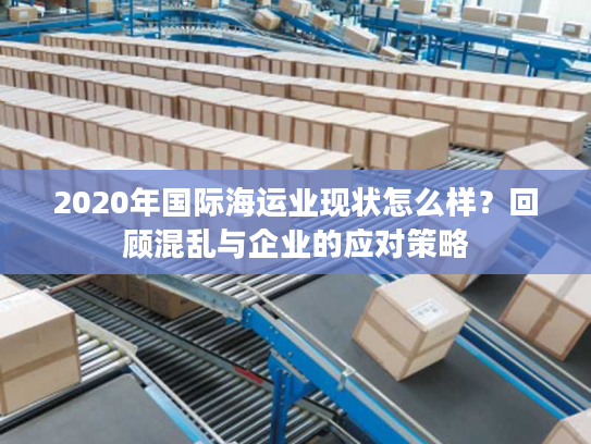 2020年国际海运业现状怎么样？回顾混乱与企业的应对策略