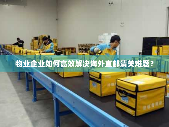 物业企业如何高效解决海外直邮清关难题？