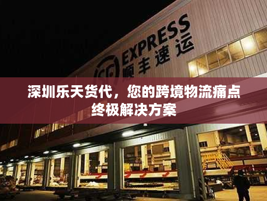 深圳乐天货代，您的跨境物流痛点终极解决方案