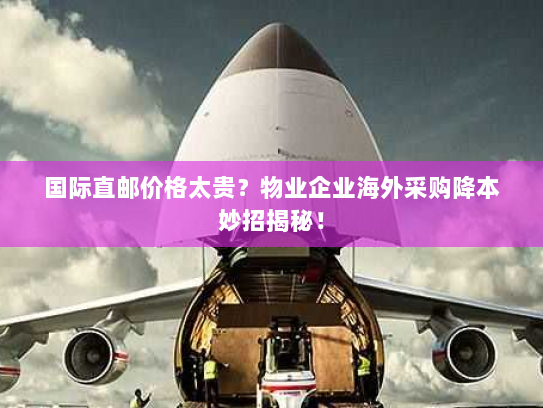 国际直邮价格太贵？物业企业海外采购降本妙招揭秘！