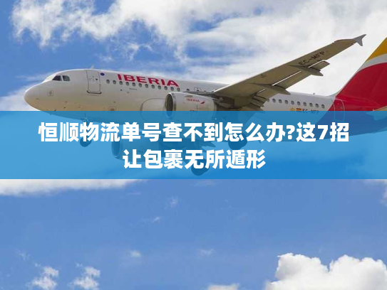 恒顺物流单号查不到怎么办?这7招让包裹无所遁形 恒顺物流单号查不到怎么办?这7招让包裹无所遁形