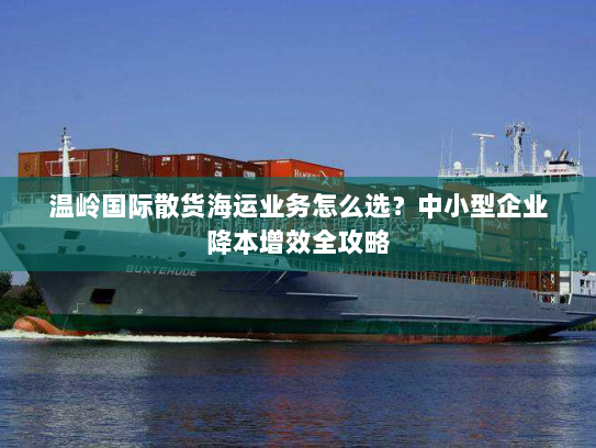 温岭国际散货海运业务怎么选？中小型企业降本增效全攻略
