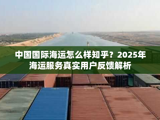 中国国际海运怎么样知乎？2025年海运服务真实用户反馈解析