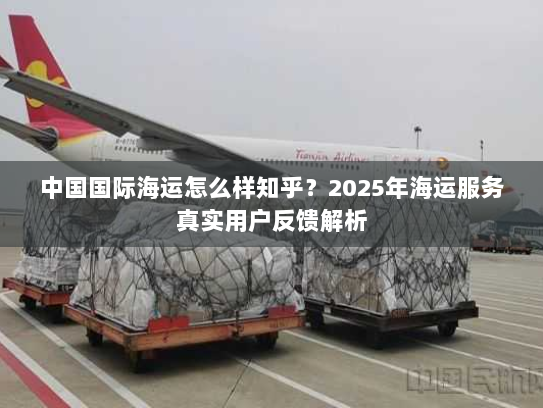中国国际海运怎么样知乎？2025年海运服务真实用户反馈解析