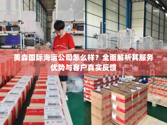 美森国际海运公司怎么样？全面解析其服务优势与客户真实反馈