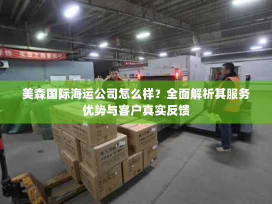 美森国际海运公司怎么样？全面解析其服务优势与客户真实反馈