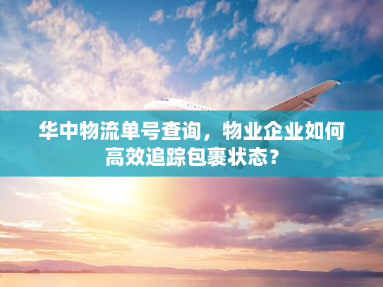华中物流单号查询，物业企业如何高效追踪包裹状态？