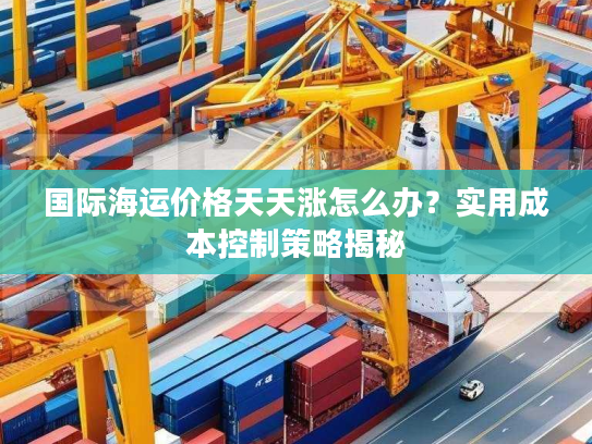 国际海运价格天天涨怎么办？实用成本控制策略揭秘