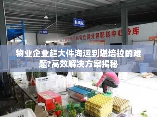 物业企业超大件海运到堪培拉的难题?高效解决方案揭秘