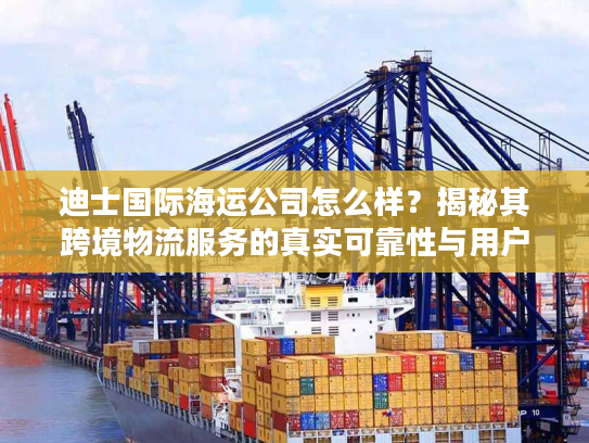 迪士国际海运公司怎么样？揭秘其跨境物流服务的真实可靠性与用户反馈