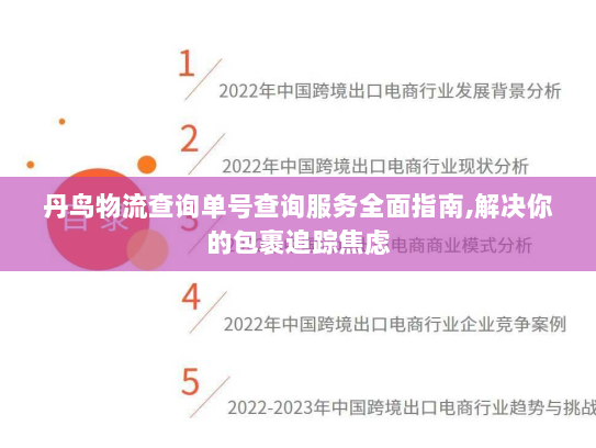 丹鸟物流查询单号查询服务全面指南,解决你的包裹追踪焦虑
