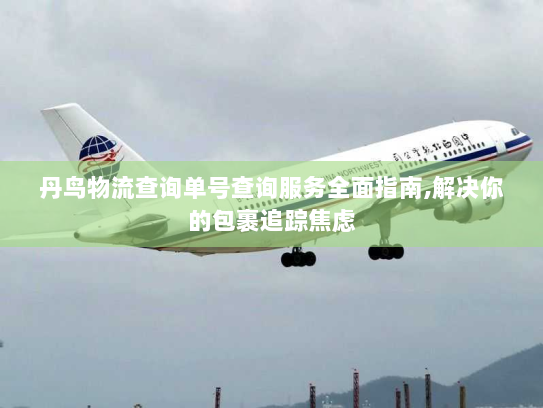 丹鸟物流查询单号查询服务全面指南,解决你的包裹追踪焦虑