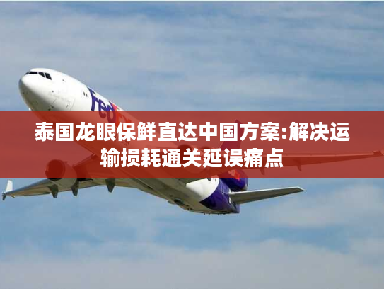 泰国龙眼保鲜直达中国方案:解决运输损耗通关延误痛点