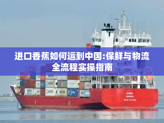 进口香蕉如何运到中国:保鲜与物流全流程实操指南