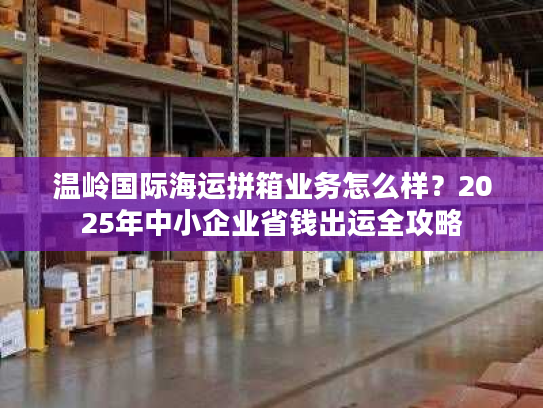 温岭国际海运拼箱业务怎么样？2025年中小企业省钱出运全攻略