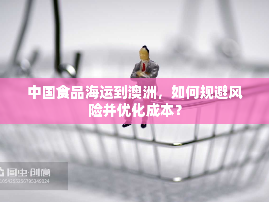 中国食品海运到澳洲，如何规避风险并优化成本？