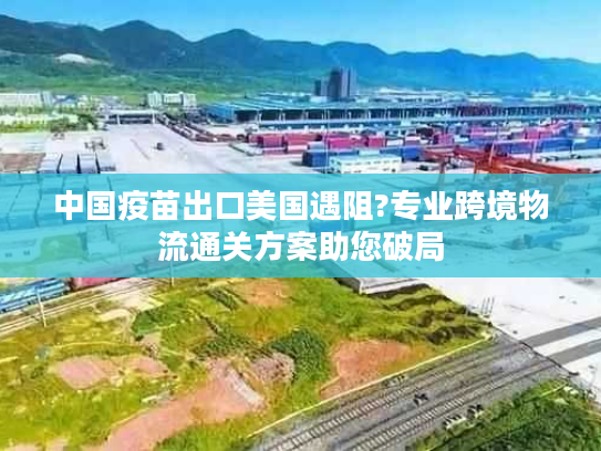 中国疫苗出口美国遇阻?专业跨境物流通关方案助您破局