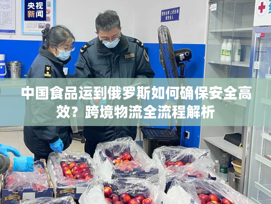 中国食品运到俄罗斯如何确保安全高效？跨境物流全流程解析