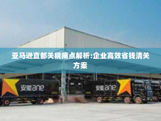 亚马逊直邮关税痛点解析:企业高效省钱清关方案