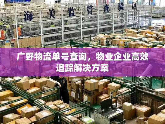 广野物流单号查询,物业企业高效追踪解决方案 广野物流单号查询,物业企业高效追踪解决方案